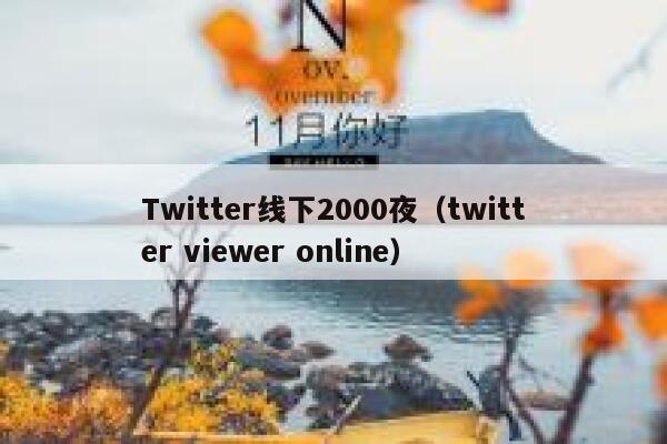 Twitter线下2000夜（twitter viewer online） 第1张