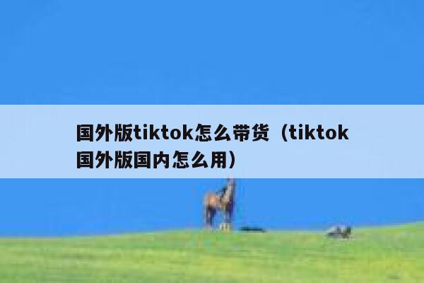 国外版tiktok怎么带货（tiktok国外版国内怎么用） 第1张