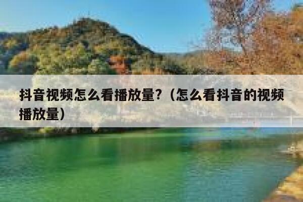 抖音视频怎么看播放量?（怎么看抖音的视频播放量） 第1张