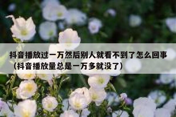 抖音播放过一万然后别人就看不到了怎么回事（抖音播放量总是一万多就没了） 第1张