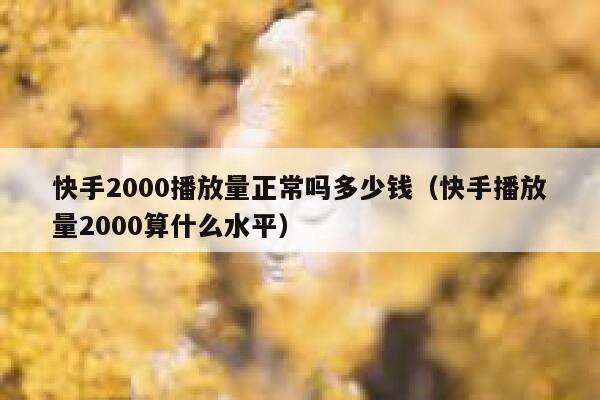 快手2000播放量正常吗多少钱（快手播放量2000算什么水平） 第1张