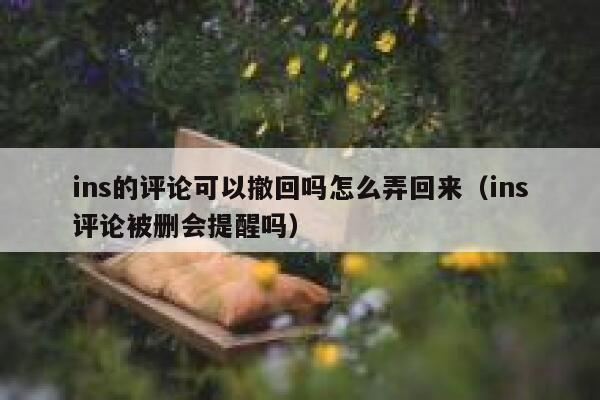 ins的评论可以撤回吗怎么弄回来（ins评论被删会提醒吗） 第1张