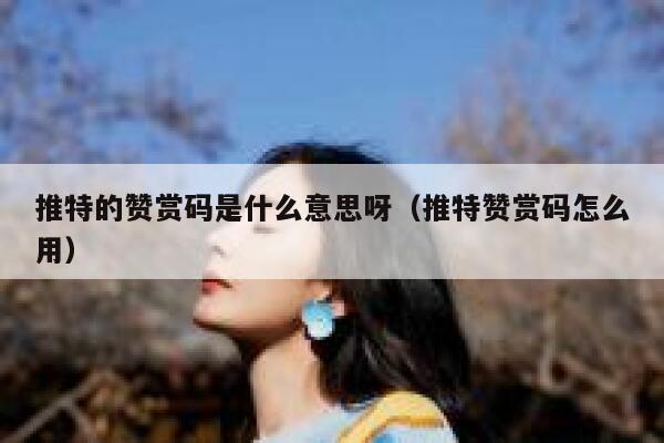 推特的赞赏码是什么意思呀（推特赞赏码怎么用） 第1张