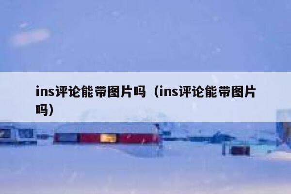 ins评论能带图片吗（ins评论能带图片吗） 第1张
