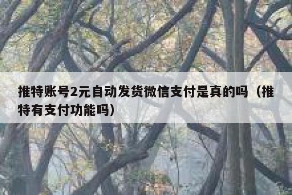 推特账号2元自动发货微信支付是真的吗（推特有支付功能吗） 第1张