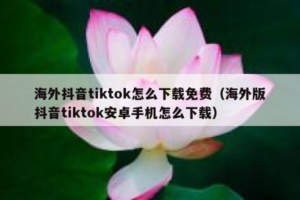 海外抖音tiktok怎么下载免费（海外版抖音tiktok安卓手机怎么下载） 第1张