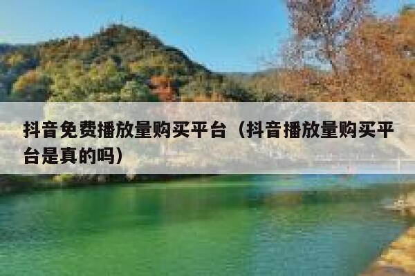 抖音免费播放量购买平台（抖音播放量购买平台是真的吗） 第1张