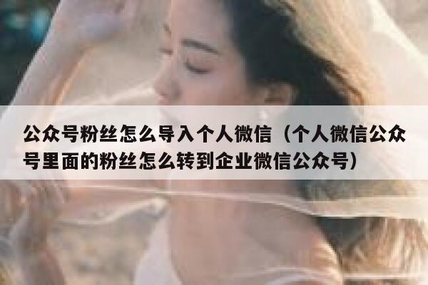 公众号粉丝怎么导入个人微信（个人微信公众号里面的粉丝怎么转到企业微信公众号） 第1张
