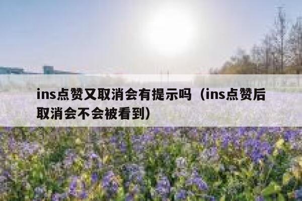 ins点赞又取消会有提示吗（ins点赞后取消会不会被看到） 第1张