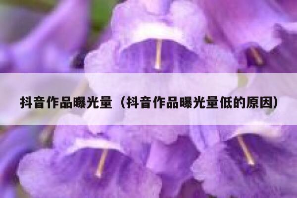 抖音作品曝光量（抖音作品曝光量低的原因） 第1张
