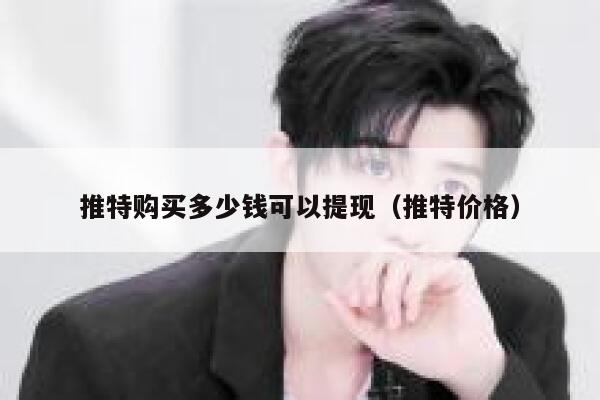 推特购买多少钱可以提现（推特价格） 第1张
