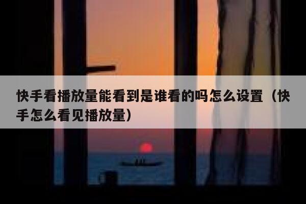 快手看播放量能看到是谁看的吗怎么设置（快手怎么看见播放量） 第1张