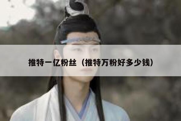 推特一亿粉丝（推特万粉好多少钱） 第1张
