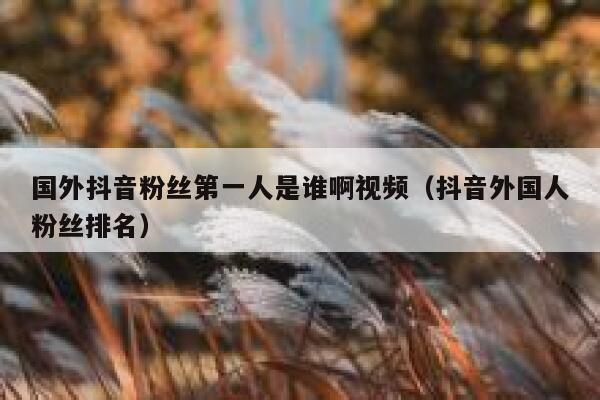 国外抖音粉丝第一人是谁啊视频（抖音外国人粉丝排名） 第1张