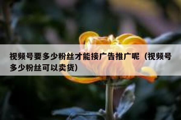 视频号要多少粉丝才能接广告推广呢（视频号多少粉丝可以卖货） 第1张