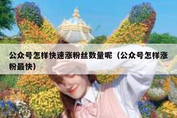 公众号怎样快速涨粉丝数量呢（公众号怎样涨粉最快） 第1张