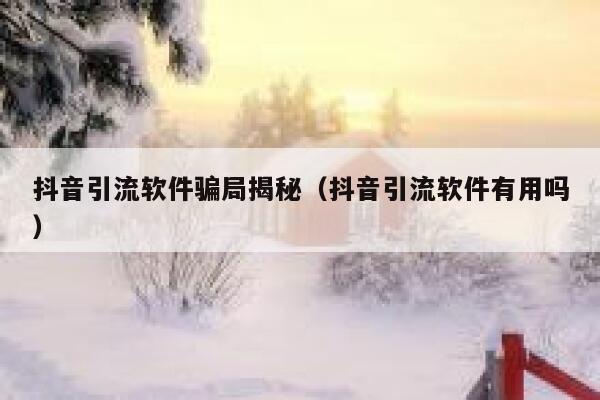 抖音引流软件骗局揭秘（抖音引流软件有用吗） 第1张