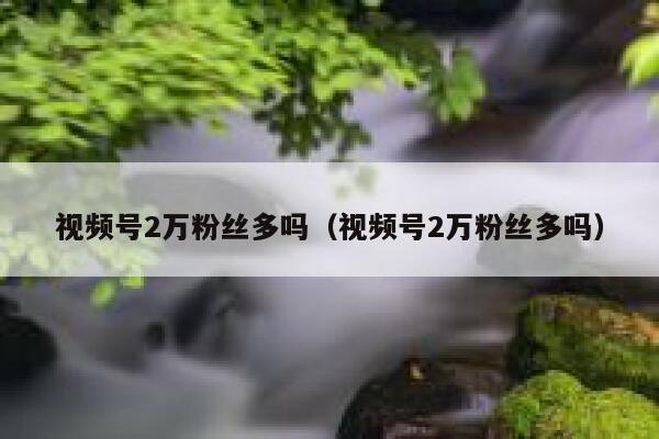 视频号2万粉丝多吗（视频号2万粉丝多吗） 第1张
