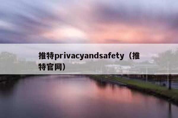 推特privacyandsafety（推特官网） 第1张