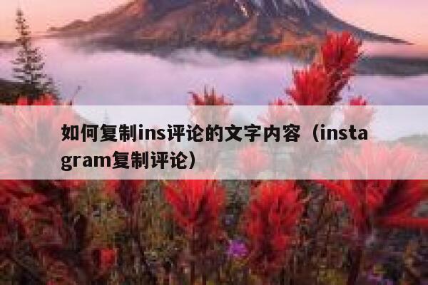 如何复制ins评论的文字内容（instagram复制评论） 第1张