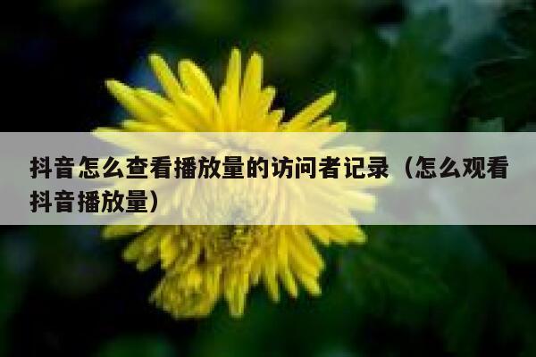 抖音怎么查看播放量的访问者记录（怎么观看抖音播放量） 第1张