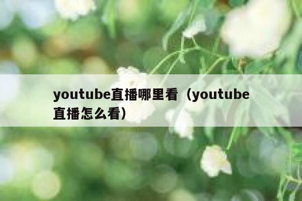 youtube直播哪里看（youtube直播怎么看） 第1张