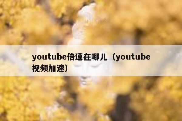 youtube倍速在哪儿（youtube视频加速） 第1张