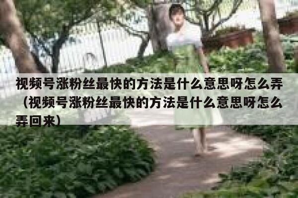 视频号涨粉丝最快的方法是什么意思呀怎么弄（视频号涨粉丝最快的方法是什么意思呀怎么弄回来） 第1张