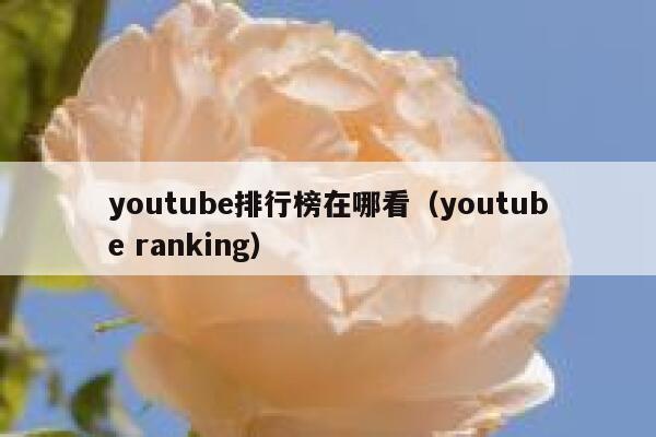 youtube排行榜在哪看（youtube ranking） 第1张