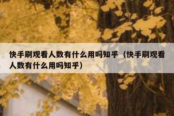 快手刷观看人数有什么用吗知乎（快手刷观看人数有什么用吗知乎） 第1张