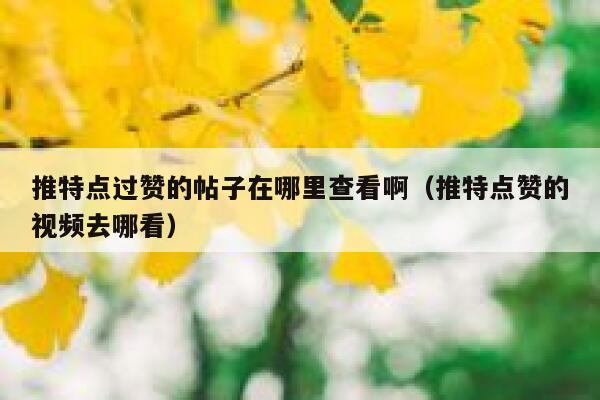 推特点过赞的帖子在哪里查看啊（推特点赞的视频去哪看） 第1张