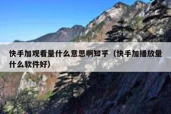 快手加观看量什么意思啊知乎（快手加播放量什么软件好） 第1张