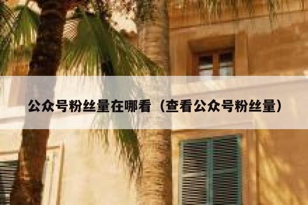 公众号粉丝量在哪看（查看公众号粉丝量） 第1张