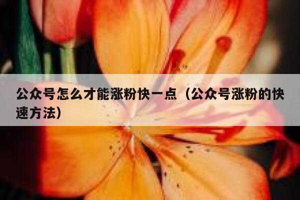 公众号怎么才能涨粉快一点（公众号涨粉的快速方法） 第1张