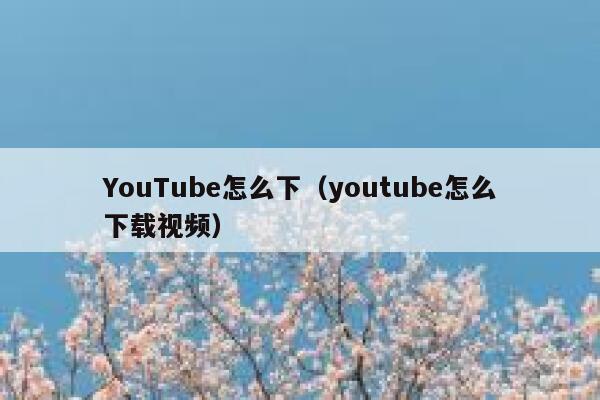 YouTube怎么下（youtube怎么下载视频） 第1张