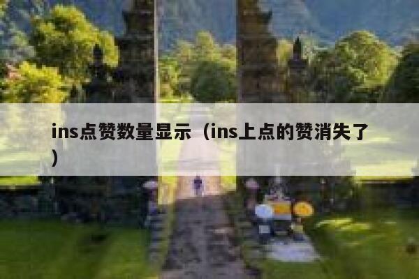 ins点赞数量显示（ins上点的赞消失了） 第1张