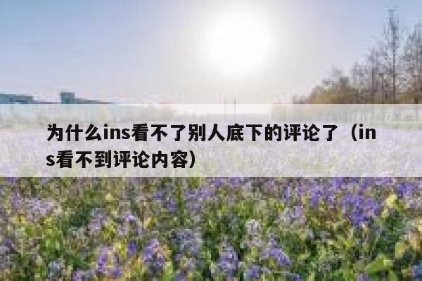 为什么ins看不了别人底下的评论了（ins看不到评论内容） 第1张
