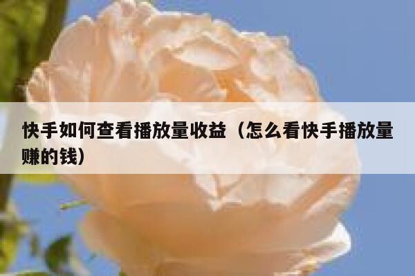 快手如何查看播放量收益（怎么看快手播放量赚的钱） 第1张