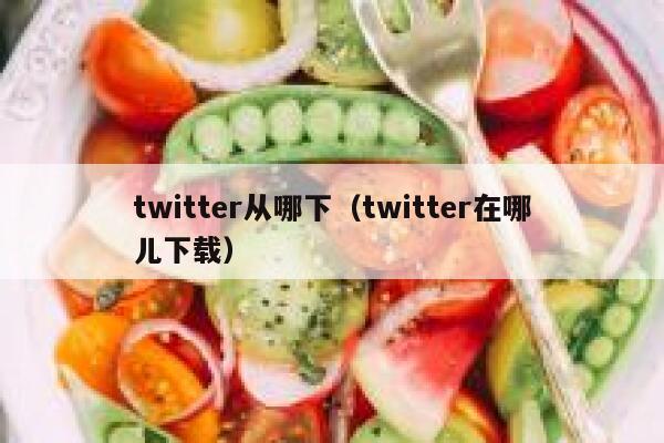 twitter从哪下（twitter在哪儿下载） 第1张