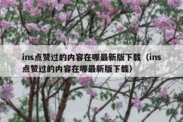 ins点赞过的内容在哪最新版下载（ins点赞过的内容在哪最新版下载） 第1张