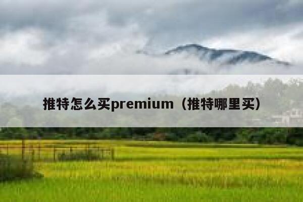 推特怎么买premium（推特哪里买） 第1张
