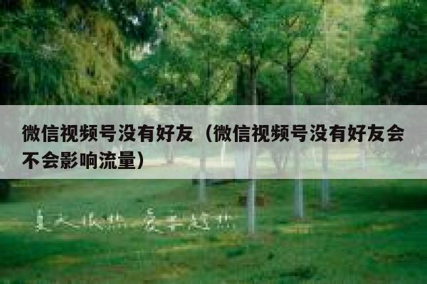 微信视频号没有好友（微信视频号没有好友会不会影响流量） 第1张