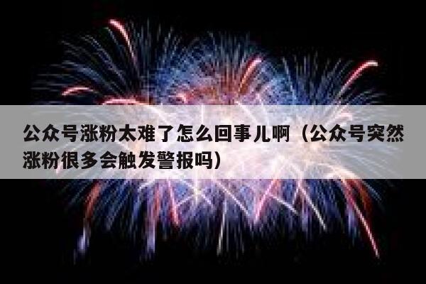 公众号涨粉太难了怎么回事儿啊（公众号突然涨粉很多会触发警报吗） 第1张