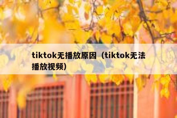 tiktok无播放原因（tiktok无法播放视频） 第1张