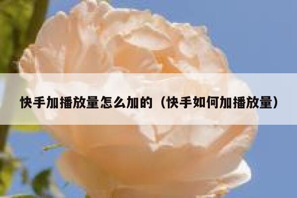 快手加播放量怎么加的（快手如何加播放量） 第1张