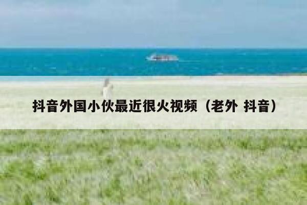 抖音外国小伙最近很火视频（老外 抖音） 第1张