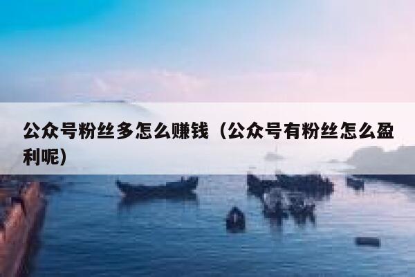 公众号粉丝多怎么赚钱（公众号有粉丝怎么盈利呢） 第1张