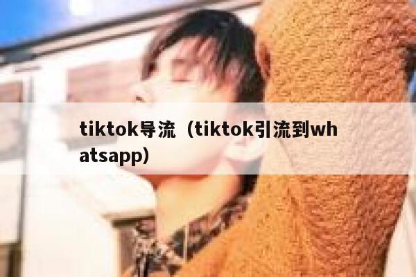 tiktok导流（tiktok引流到whatsapp） 第1张