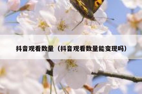 抖音观看数量（抖音观看数量能变现吗） 第1张