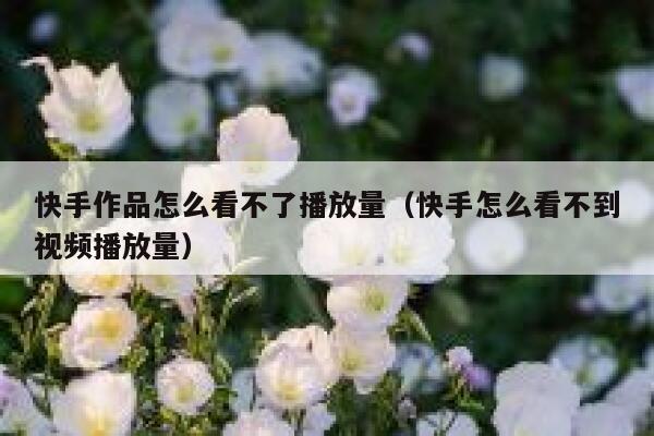 快手作品怎么看不了播放量（快手怎么看不到视频播放量） 第1张